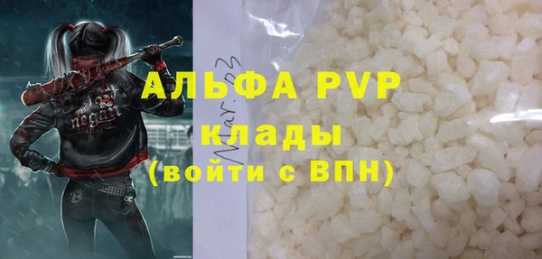 кокс Корсаков