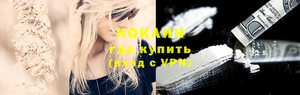 кокс Корсаков