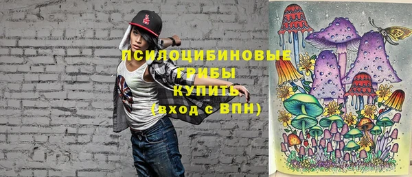 ГАЛЛЮЦИНОГЕННЫЕ ГРИБЫ Костерёво