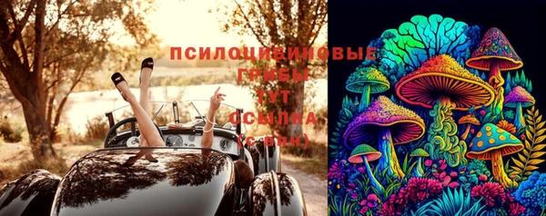 ГАЛЛЮЦИНОГЕННЫЕ ГРИБЫ Костерёво