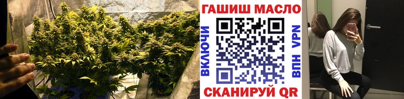 KRAKEN сайт  Кинешма  Дистиллят ТГК Wax  купить  цена 