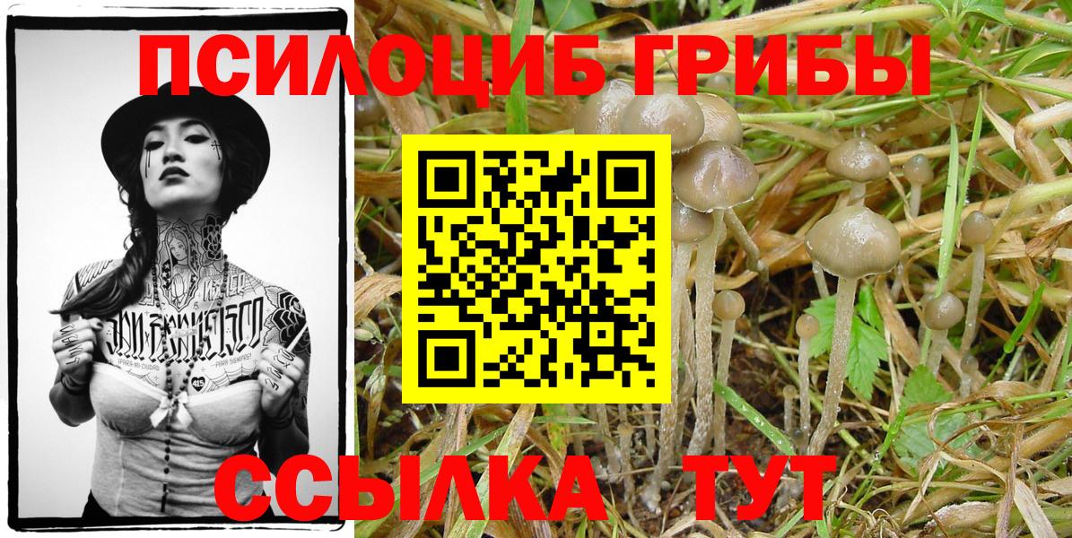 Галлюциногенные грибы прущие грибы Кинешма