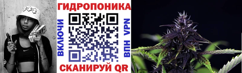 Бошки Шишки план  Кинешма 